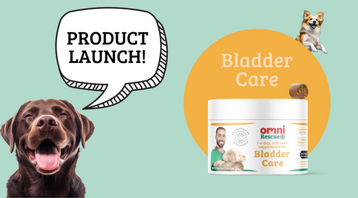 Bladder Care Supplement for Dogs – Soothe & Support Urinary Health