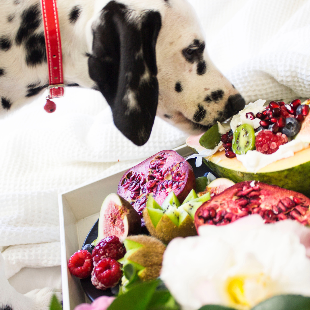 Feeding Your Dog A Raw Diet; Know The Risks of Raw Dog Food