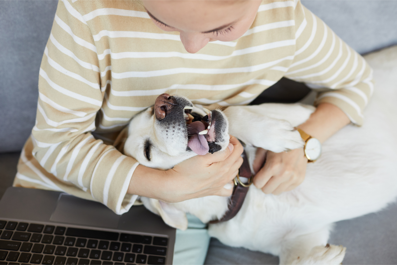 Stress Awareness Month with OMNI: How Dogs Help to Relieve Stress