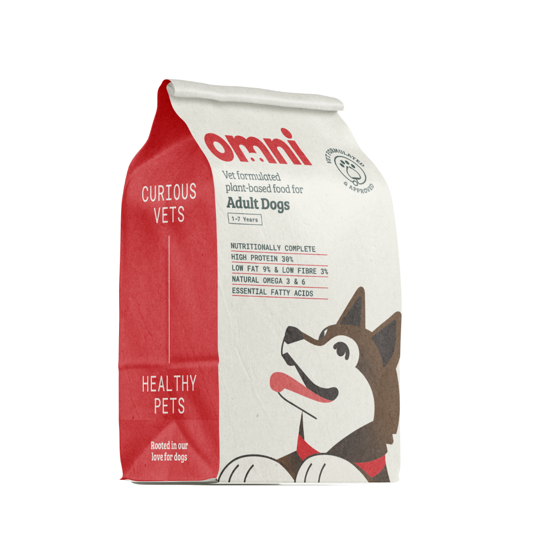 Vegan Healthiest Kibble For Dogs Best Dry Dog Food Meat-Free Food