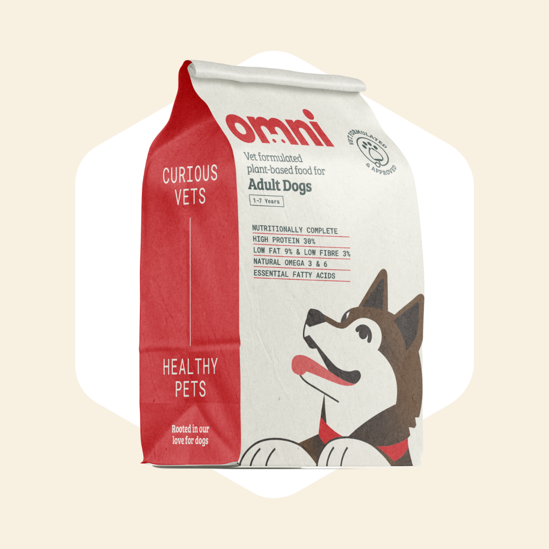 Best Dog Food for Itchy Skin: Affordable Natural Solutions