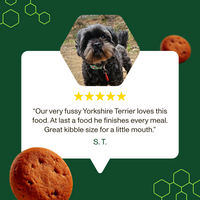 Dog with a five-star rating and review on a green background with dog treats.