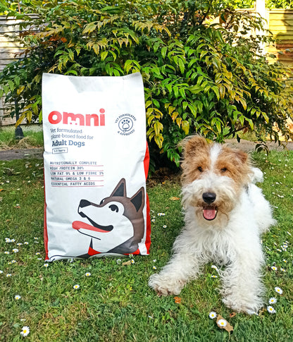 Plant-Powered Dog Food For Allergies