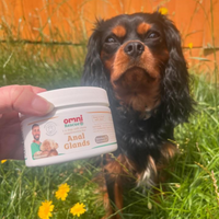 Dog sitting on grass with a jar of Omni Rescue Anal Glands product held by a hand.