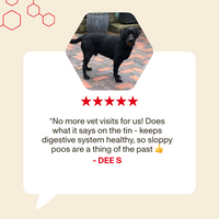 Dog standing on a patio with a five-star rating and customer review text.