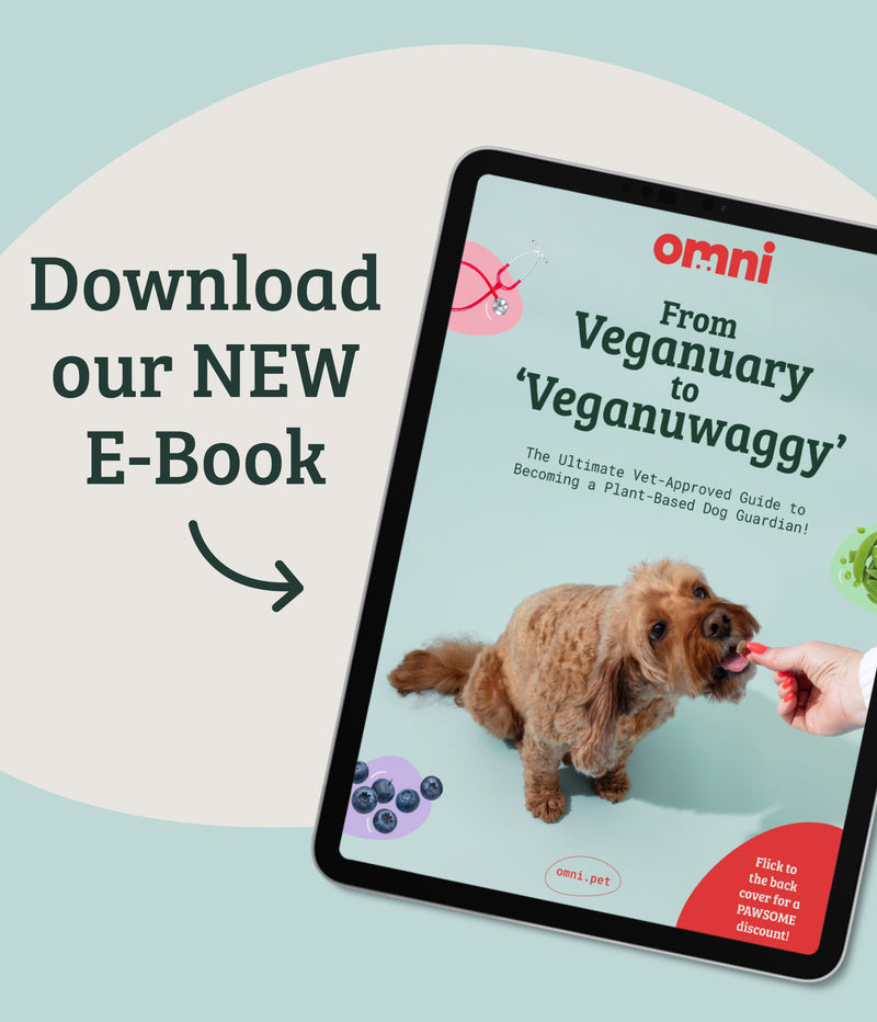 Veganuary eBook 