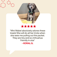 Small dog with a five-star rating and review text on a beige background