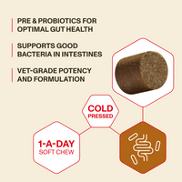 Product packaging with text and images of a soft chew for gut health on a beige background.