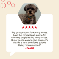 Dog with a five-star rating and review on a beige background