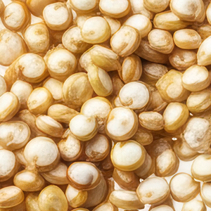 Quinoa