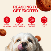Dog with a list of reasons to get excited about dog food, including novel proteins, maintaining heart health, natural omegas, and lower fat content.