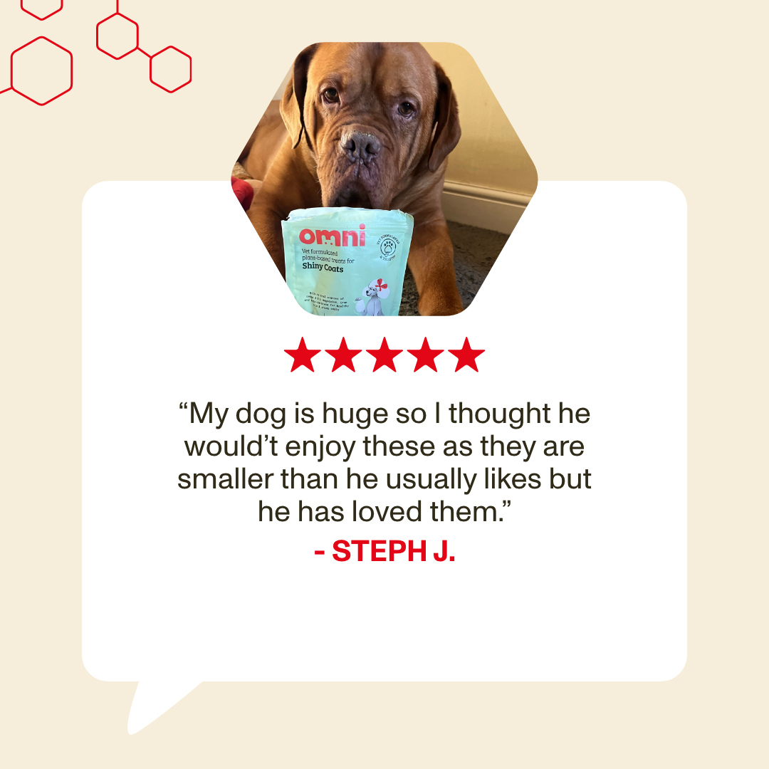 Dog with a bowl of Omni pet food, surrounded by five-star rating text and a quote from a customer.