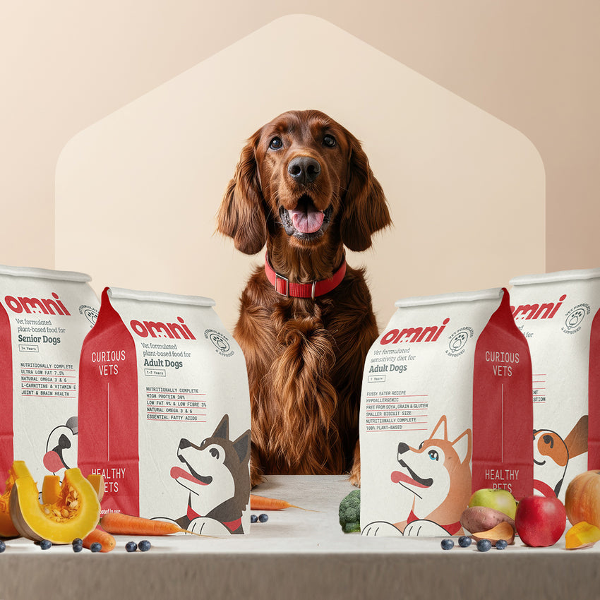 Dog sitting behind Omni pet food packages on a table with various ingredients.