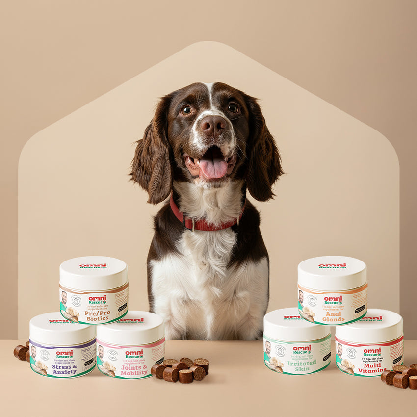Dog sitting behind a line of pet care products on a beige background