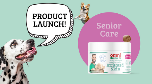 Senior Care Supplement for Dogs – Cognitive & Joint Support