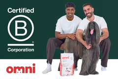 Big News: Omni is Now B Corp Certified! 🌍🐾