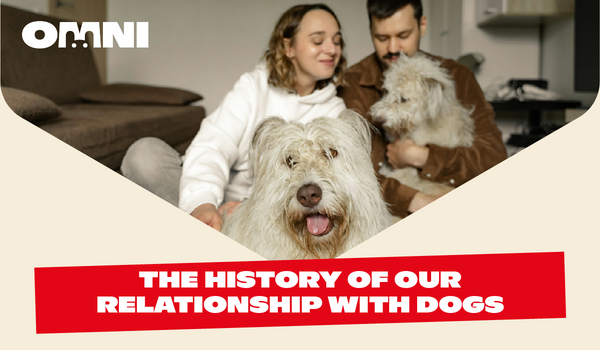 The History of our Relationship with Dogs