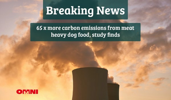 Breaking News: 65 times more carbon emissions from meat heavy dog food study finds
