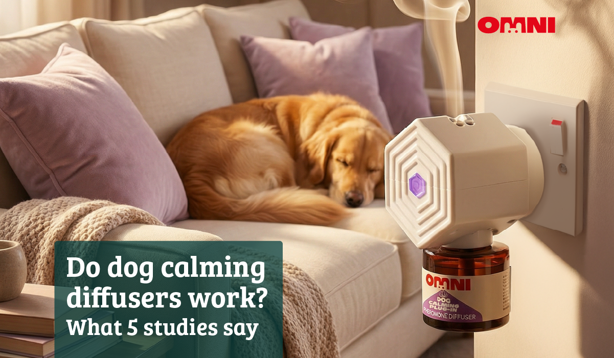 Do Dog Calming Diffusers Work? What 5 Studies Say – Omni Pet Limited