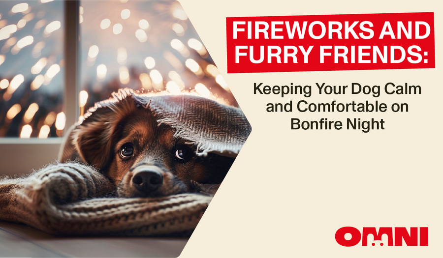 Reducing Your Dog’s Carbon Pawprint: Sustainable Pet Parenting