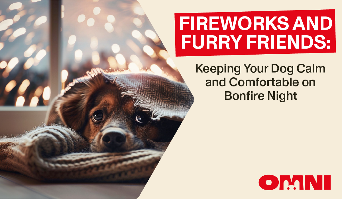 Reducing Your Dog’s Carbon Pawprint: Sustainable Pet Parenting