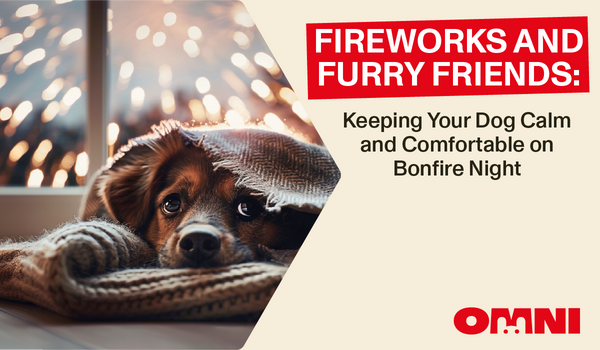 Reducing Your Dog’s Carbon Pawprint: Sustainable Pet Parenting