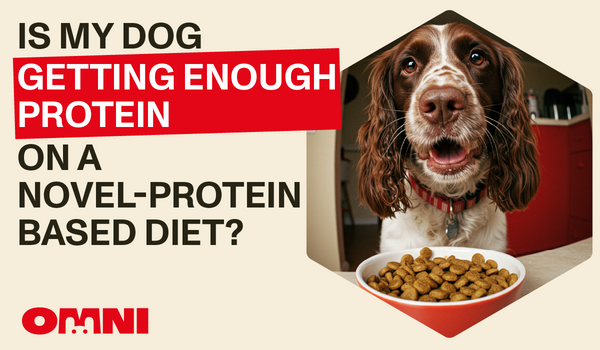 Beyond the Bowl: Why Novel Protein Diets Are a Game-Changer