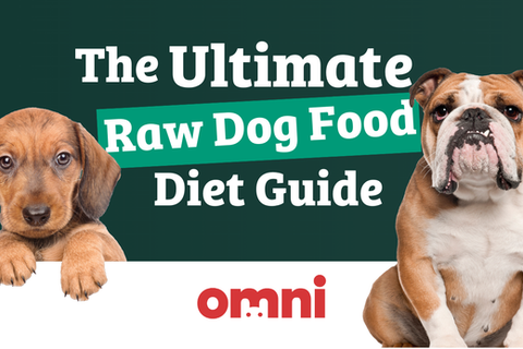 The Raw Dog Food Dieet: wat u moet weten (van een dierenarts)