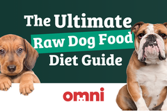 The Raw Dog Food Diet: What You Need to Know (from a Vet)