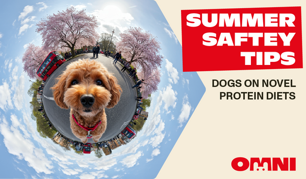 Composting Dog Waste: A Guide for Eco-Conscious Owners