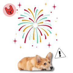 Honden en vuurwerk: toptips van onze dierenartsen