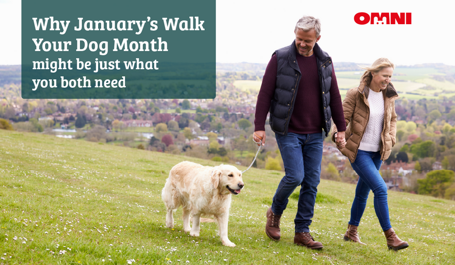 Why January’s Walk Your Dog Month Might Be Just What You Both Need