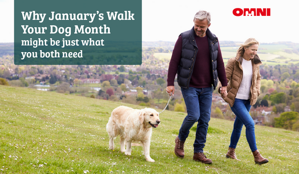 Why January’s Walk Your Dog Month Might Be Just What You Both Need