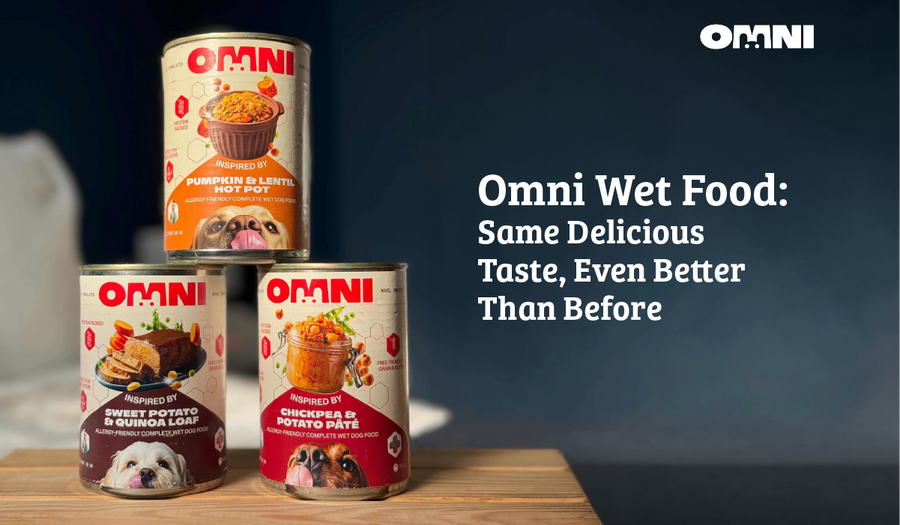 Omni Wet Food: Same Delicious Taste, Even Better Than Before