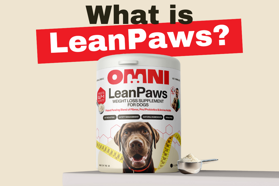 Introducing LeanPaws: The Natural 'Ozempic' for Dogs Supporting Healthy Weight Management