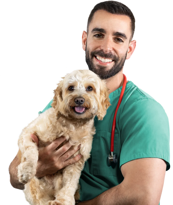 Dr. Guy Sandelowsky