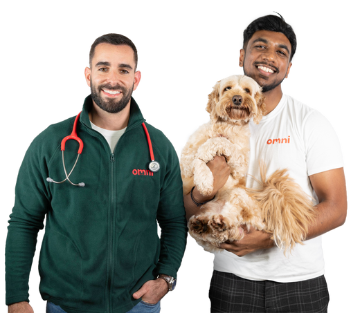The End of Plant-Based Pet Food? Not at Omni!