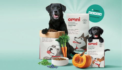 Novel protein dog food: What’s all the hype about?