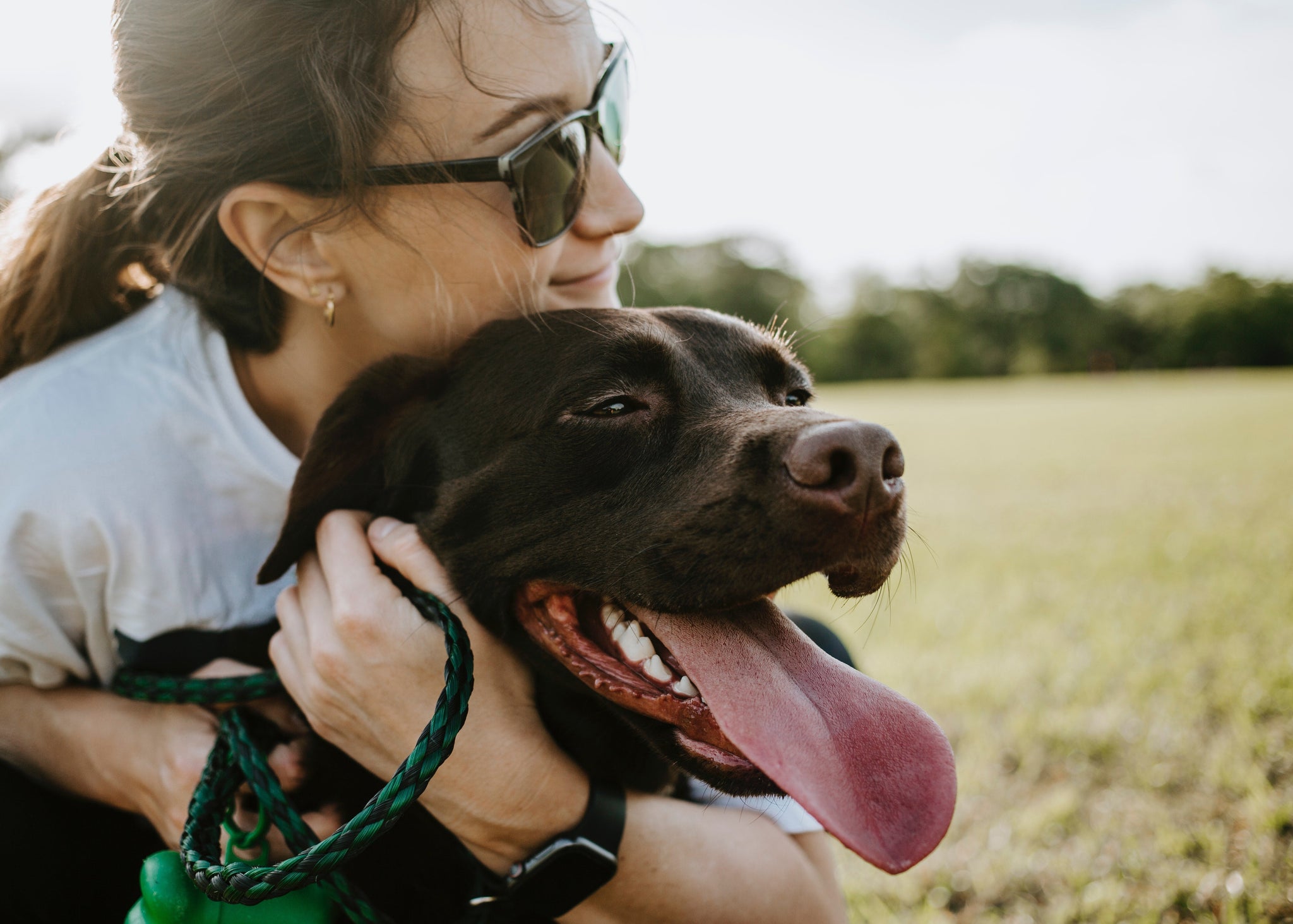 The OMNI Guide To Celebrating Your Dog this Love Your Pet Day