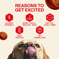 Adult Dry Food