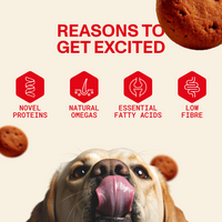 Adult Dry Food