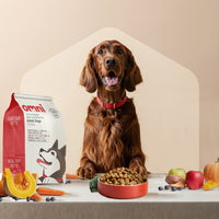 Adult Dry Food