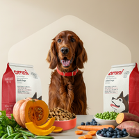 Adult Dry Food