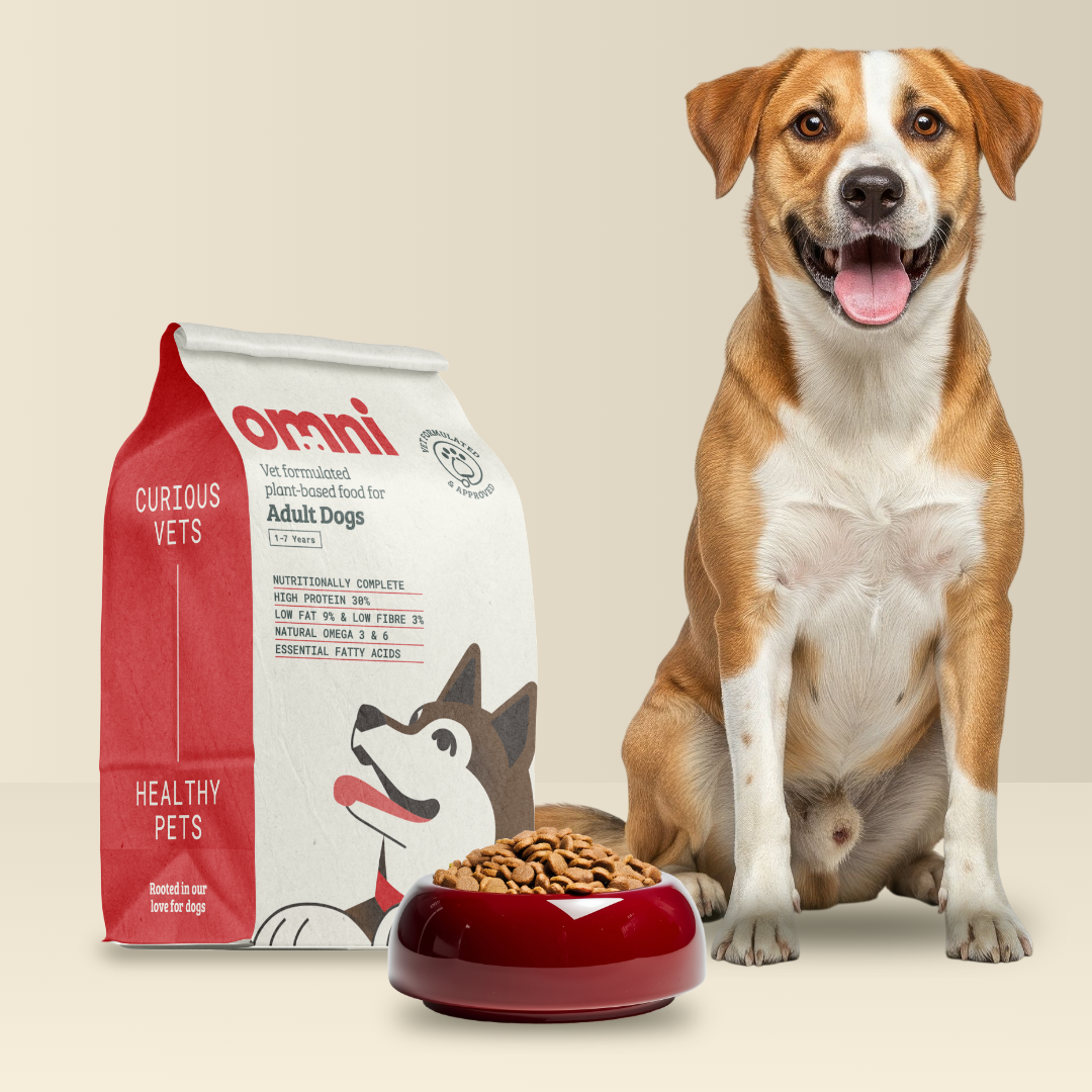 Dog sitting next to a bag of Omni pet food and a red bowl filled with kibble on a beige background