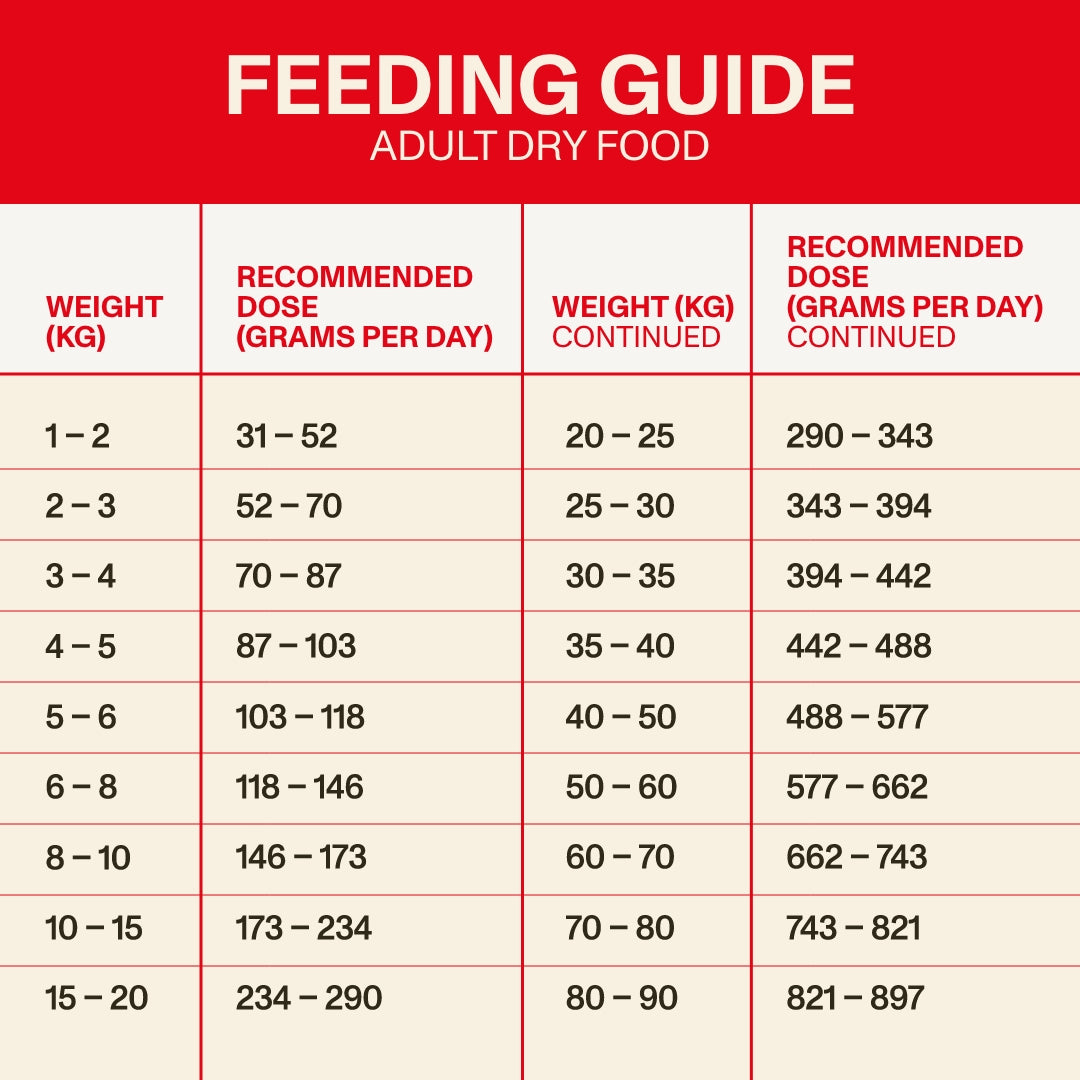 Adult Dry Food