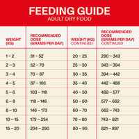 Adult Dry Food
