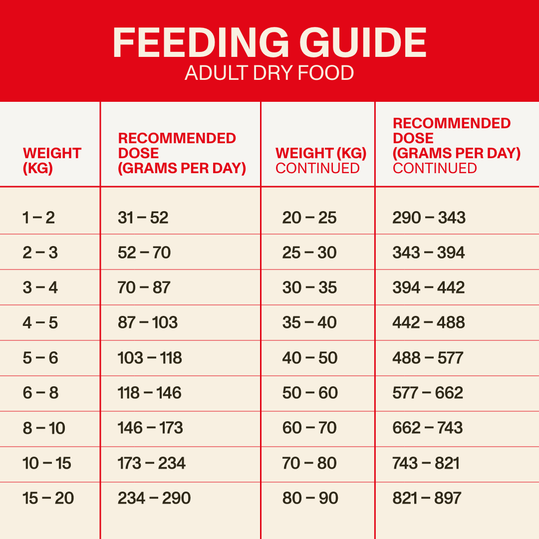 Adult Dry Food
