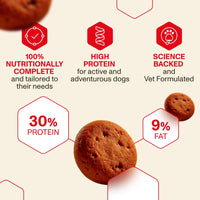 Adult Dry Food