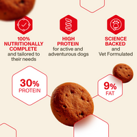 Adult Dry Food