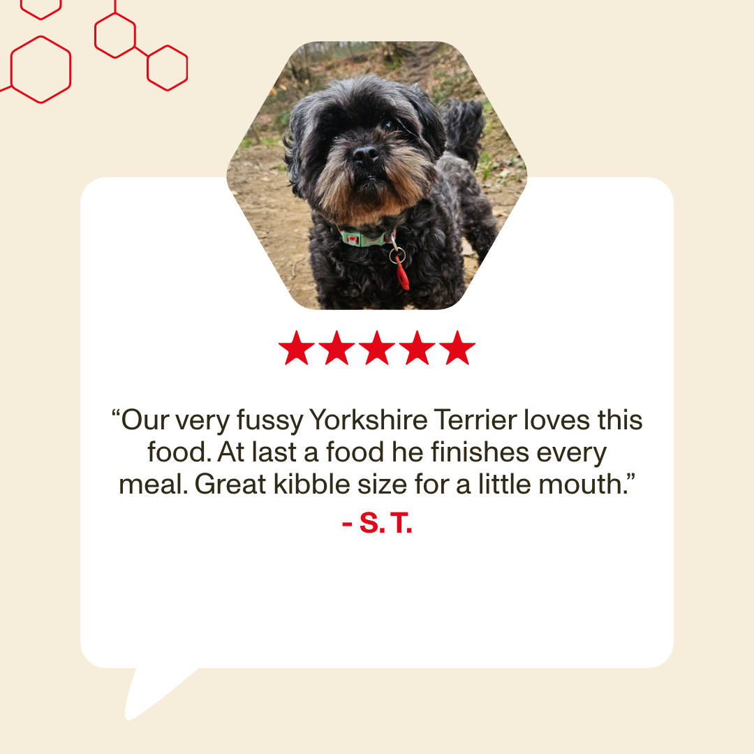 Dog with a review text and star rating on a beige background